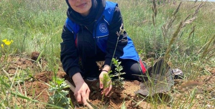 Gönüllü gençler fidanları toprakla buluşturdu, çevredeki çöpleri topladı

