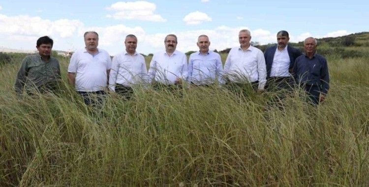 Salihli’de Mera Islah ve Amenajman Projesi açıldı
