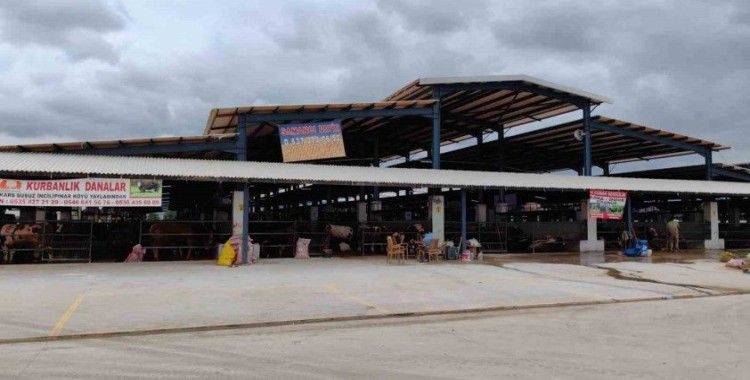 Bursa’da şap hastalığı kontrol altına alındı
