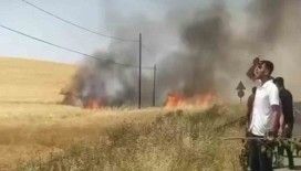 Kozluk’ta 100 dönüm buğday tarlası küle döndü
