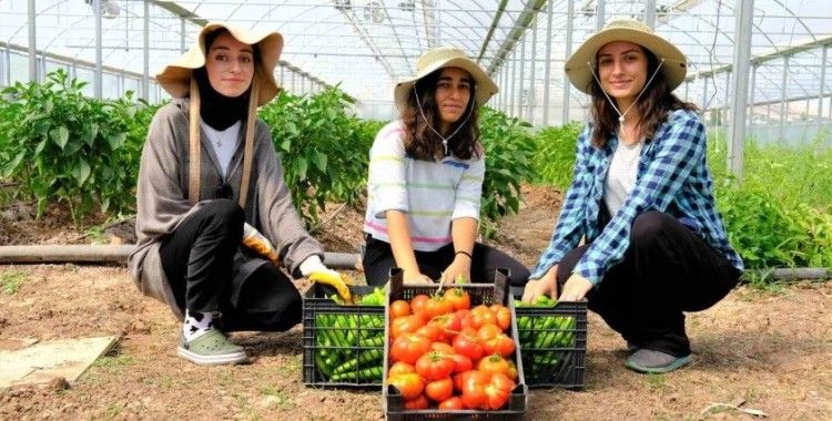 Akademik ürünlerin geliri öğrencilere burs oldu
