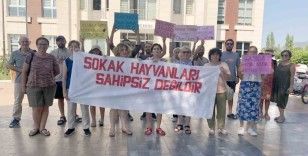 Köyceğiz’de sokak hayvanları için yürüdüler
