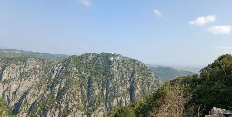 Bilecik’te çıkan orman yangını havadan ve karadan yapılan müdahalelerle kontrol altına alındı
