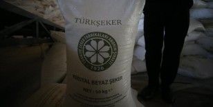 Bakan Yumaklı, Türkşeker fabrikalarına 613 geçici işçi alınacağını bildirdi