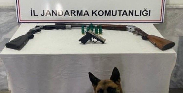 Jandarma ruhsatsız tüfekler ve kurusıkı tabanca ele geçirdi
