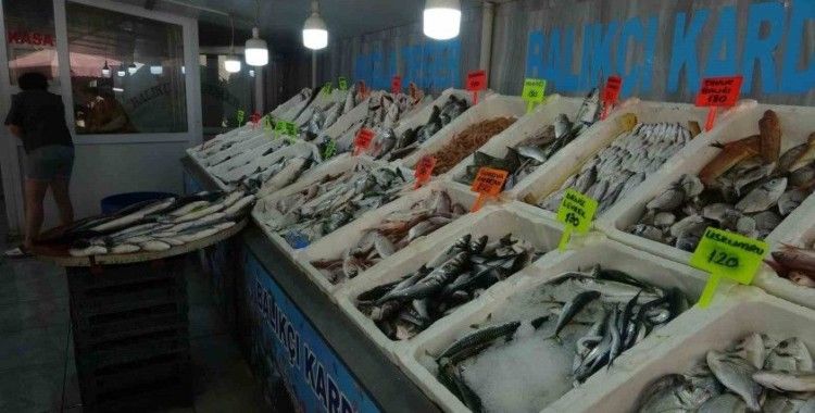 Muğla’da taze balıklar tezgahlardaki yerini aldı
