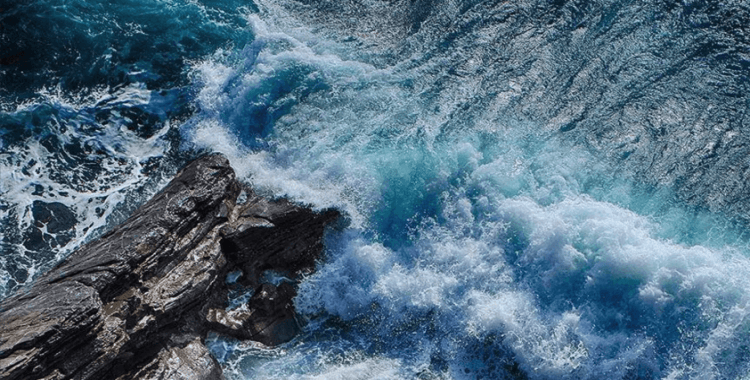 Araştırmacıları hayrete düşürdü: Okyanus dibinde bulunan gizemli 'Altın Yumurta' tedirgin etti