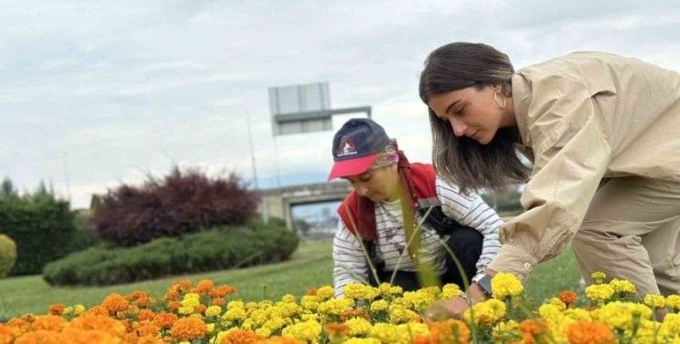 Kervan kavşağı çiçekleniyor
