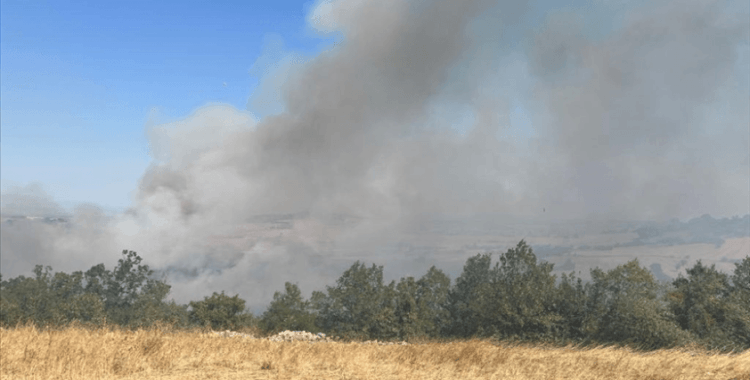 Balıkesir'de çıkan arazi yangınına müdahale ediliyor