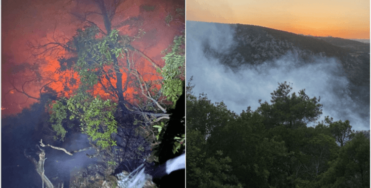 Bilecik'te yıldırım isabet etmesi sonucu çıkan orman yangınına müdahale ediliyor