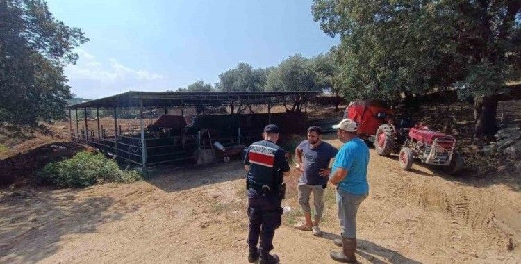 Jandarma ekipleri hayvan sahiplerini uyardı
