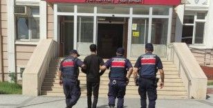 Yunanistan'a kaçmaya çalışan 17 FETÖ mensubu yakalandı