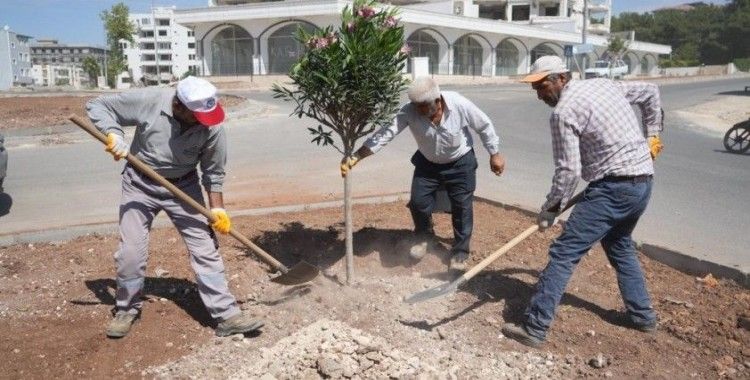 Adıyaman Belediyesi peyzaj çalışmalarına devam ediyor
