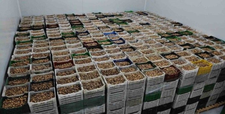 TARİŞ kuru incir fiyatlarını güncelledi
