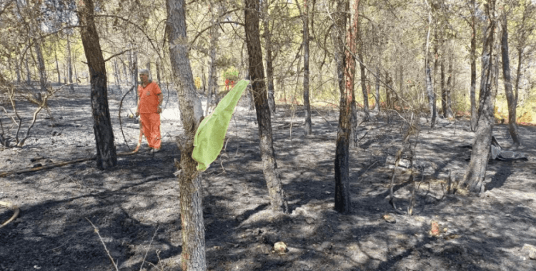 Mersin'deki orman yangını büyümeden söndürüldü