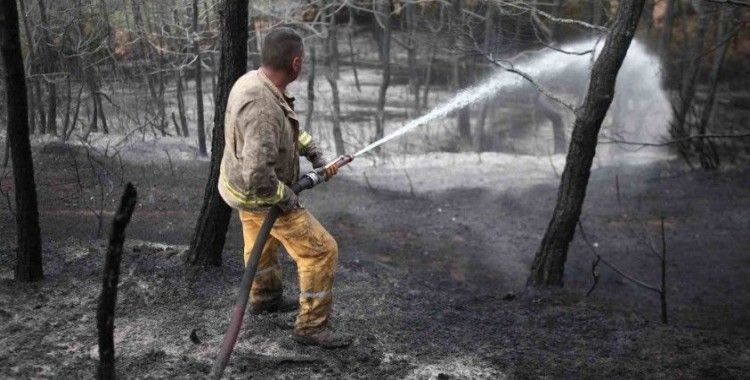 (Özel) Yanan ormanda bilanço dron ile çıkarılıyor, 25 hektar yeniden ağaçlandırılacak
