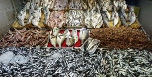 Çanakkale'de av yasağının sona ermesiyle balık tezgahları şenlendi