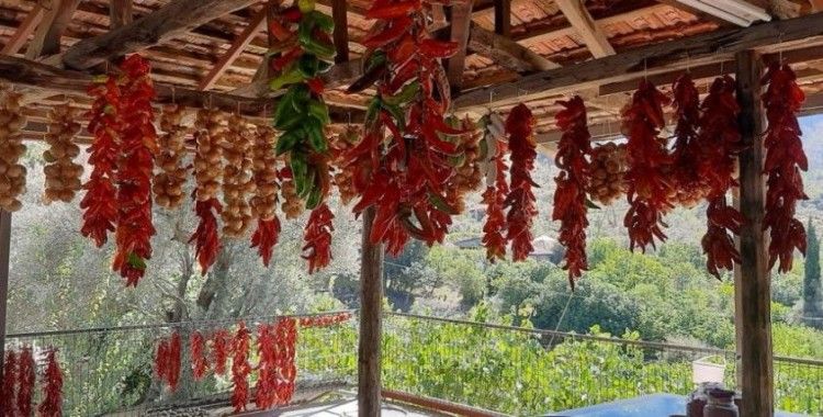 Muğla'da kış hazırlığı renkli görüntüler oluşturdu