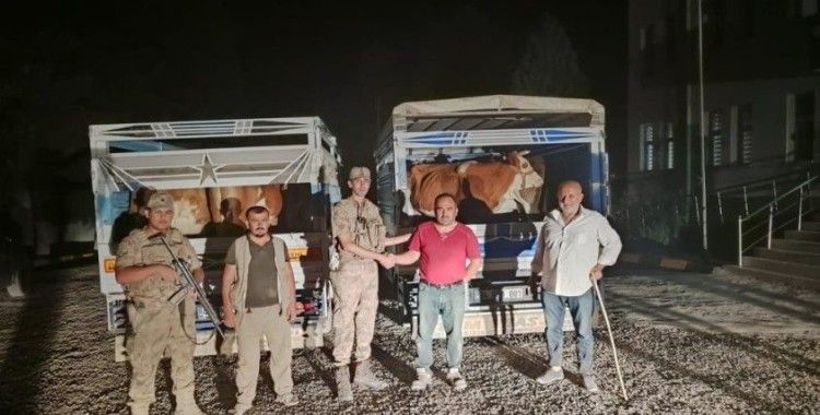 Siirt'te çaldığı büyükbaş hayvanı satarken yakalanan hırsız tutuklandı