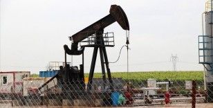 TPAO'nun petrol arama ruhsatı 2 yıl uzatıldı
