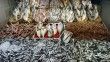 Çanakkale’de av yasağının sona ermesiyle balık tezgahları şenlendi
