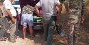 Kaçak avcılara göz açtırılmıyor
