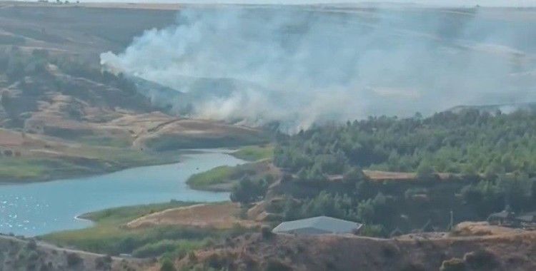 Anız yangını ağaçlık alana sıçradı
