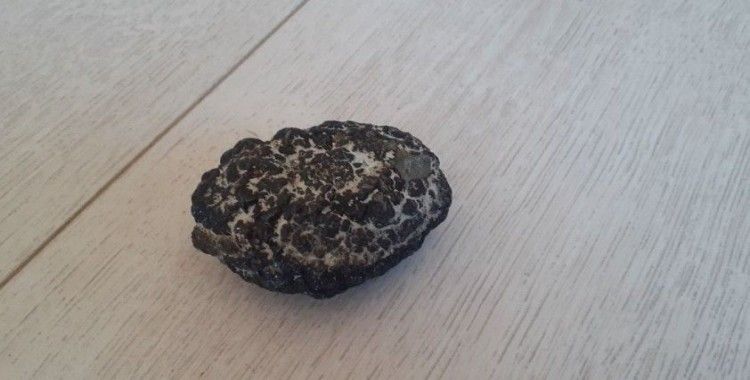 Muhtar bulduğu taşın incelenmesini istiyor
