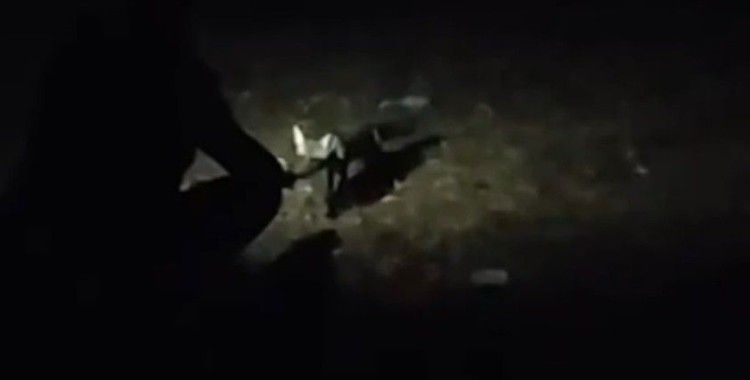 Harmana gelen tilkiyi elleri ile beslediler
