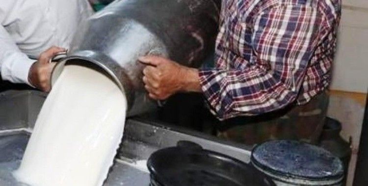Ticari süt işletmelerince 835 bin 773 ton inek sütü toplandı
