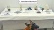 Jandarma narkotik köpeği 'Limon' ilk operasyonunda tespit etti