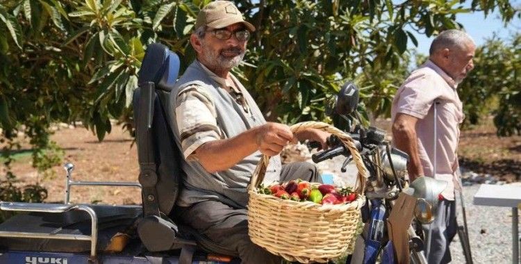 Tarsus Belediyesinden ’Engelsiz Tarım Alanı’ projesi
