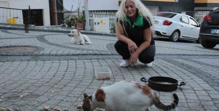 19 yıldır sokak kedilerine annelik yapıyor
