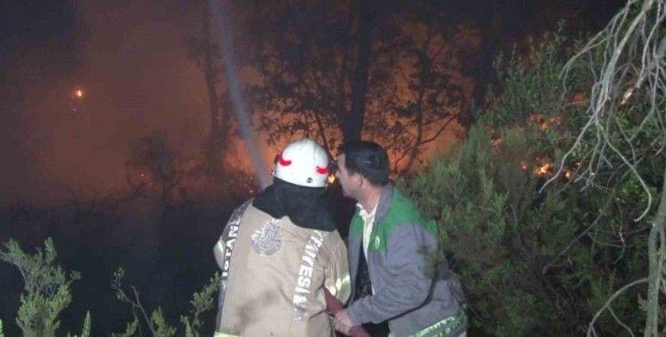 Çekmeköy’de ormanlık alanda çıkan yangın kontrol altına alındı
