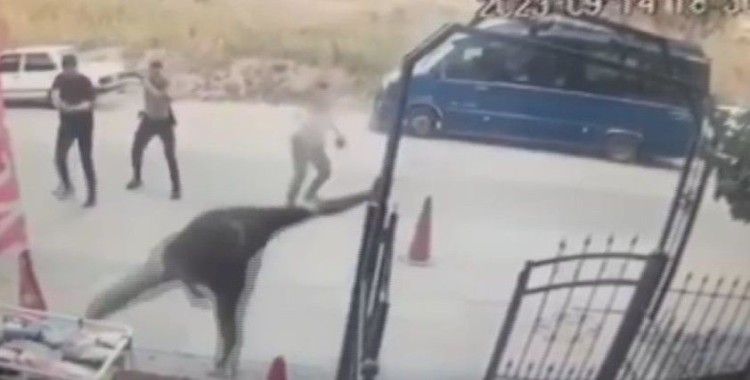 Polisi bıçakla yaralayan hırsız bacaklarından vurularak etkisiz hale getirildi