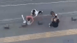 Pendik'te sokak ortasında anne oğul kavgası kamerada