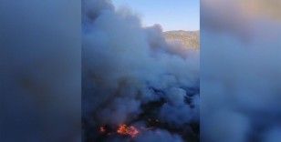 İzmir'in Menderes ilçesinde orman yangını çıktı