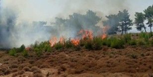 Hatay'da ormanlık alanda örtü yangını