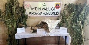 Germencik’te uyuşturucu operasyonu: 1 gözaltı
