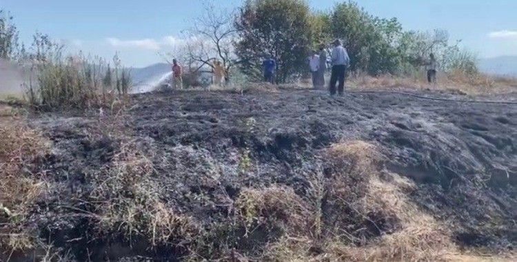 Kdz. Ereğli ilçesinde fındık bahçesi yandı
