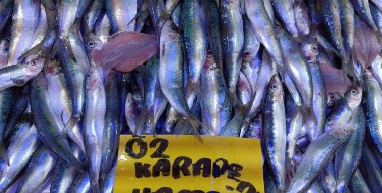 Kırmızı ve beyaz ete göre fiyatı makul olan balığa yoğun ilgi
