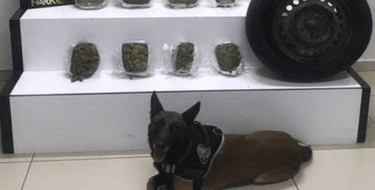 Uyuşturucu tacirleri Cash'in dikkatinden kaçamadı