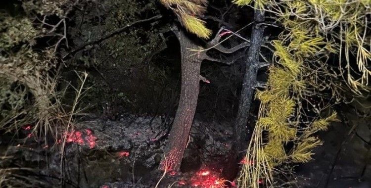 Gazipaşa’da, zamanında müdahale orman yangınını önledi
