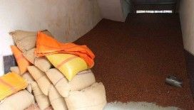 Serbest piyasada fındık 100 TL’ye ulaştı
