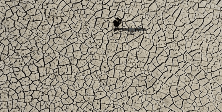 Düzce'de selin ardından oluşan "mil kuraklığı" tarım alanı ve meraları etkiledi