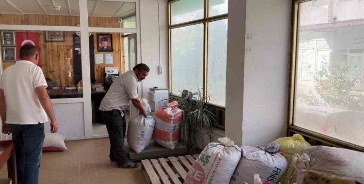 Rekolte düşüklüğü fındık fiyatlarını yükseltti
