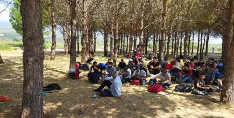Milas'ta 154 düzensiz göçmen yakalandı