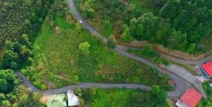 Ordu Büyükşehir Belediyesi, asfalt yol çalışmalarını sürdürüyor
