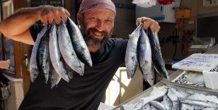 Karadeniz'de palamut ağlara takıldı