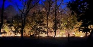 Edirne'de sınır hattındaki ormanlık alanda çıkan yangın söndürüldü